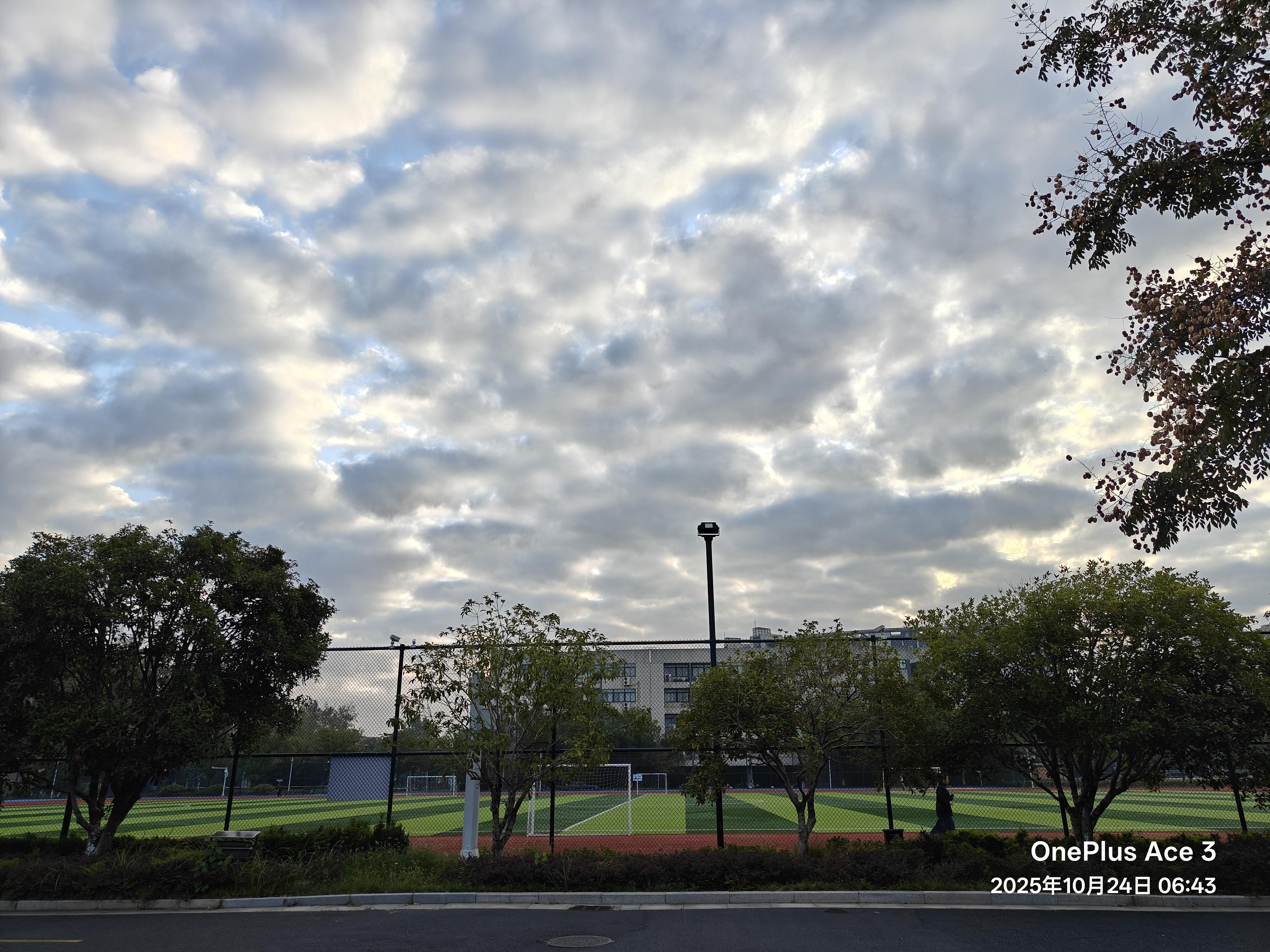 被冻醒然后早起